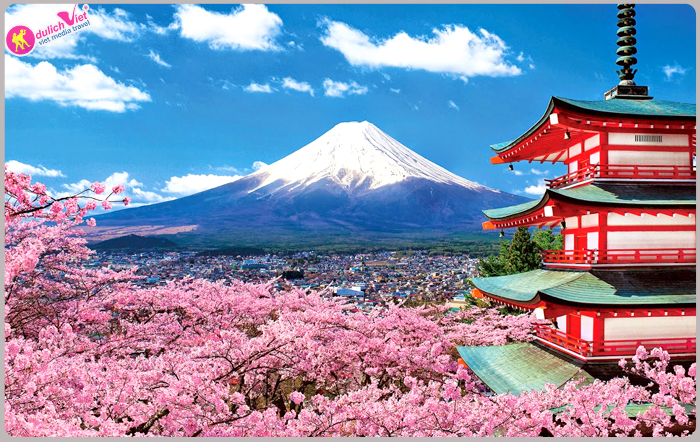 Du lịch Nhật Bản 4 ngày ngắm hoa Anh Đào bay Vietnam Airlines